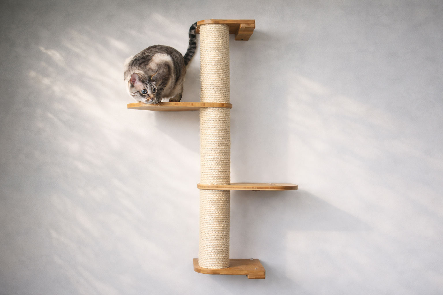 Wall Mounted Cat Climbing Pole - Sisal by Catastrophic Creations
