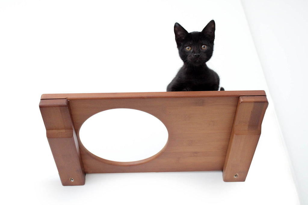 Wall Mounted Cat Shelf by Catastrophic Creations