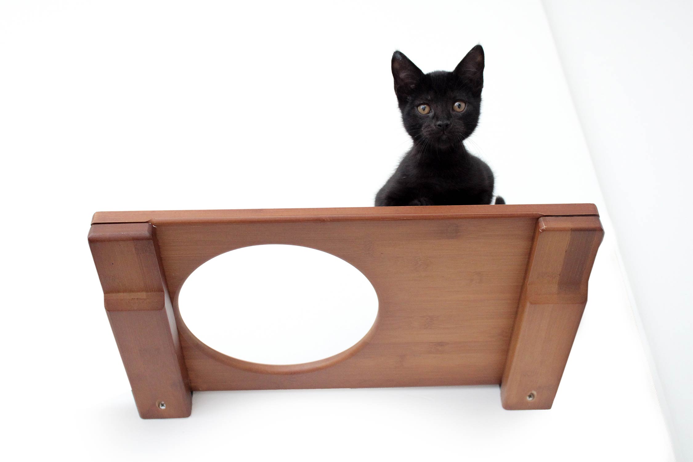 Wall Mounted Cat Shelf by Catastrophic Creations