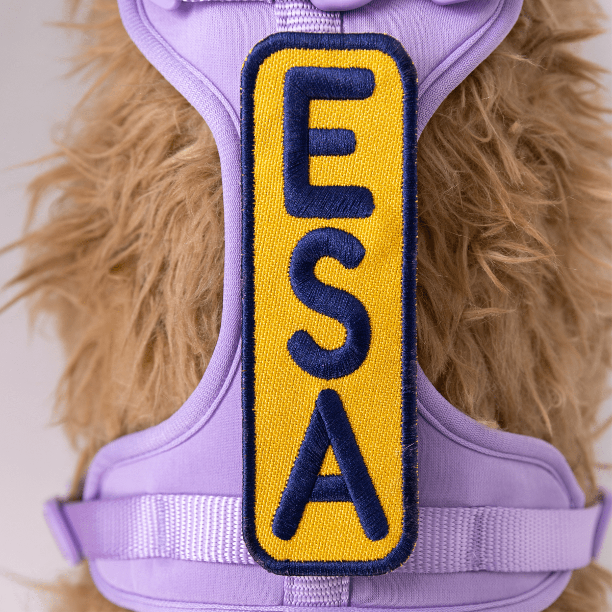 ESA 2x6 Patch by K9 Sport Sack