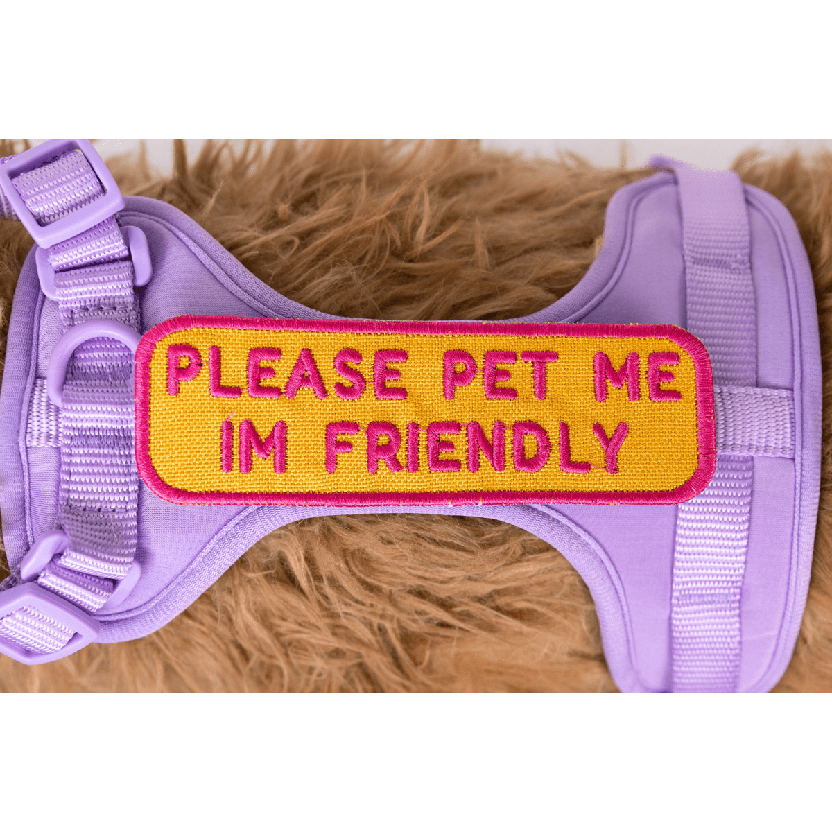 Please Pet Me Patch by K9 Sport Sack
