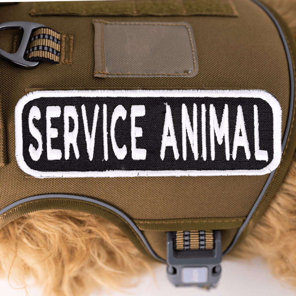 Service Animal 2x6 Patch by K9 Sport Sack
