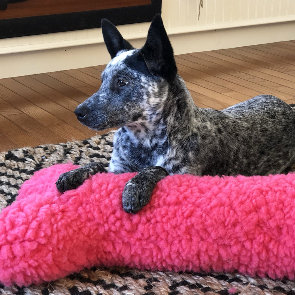 HuggleCause™, Living Beyond Breast Cancer, HuggleFleece® Pink Bones by HuggleHounds
