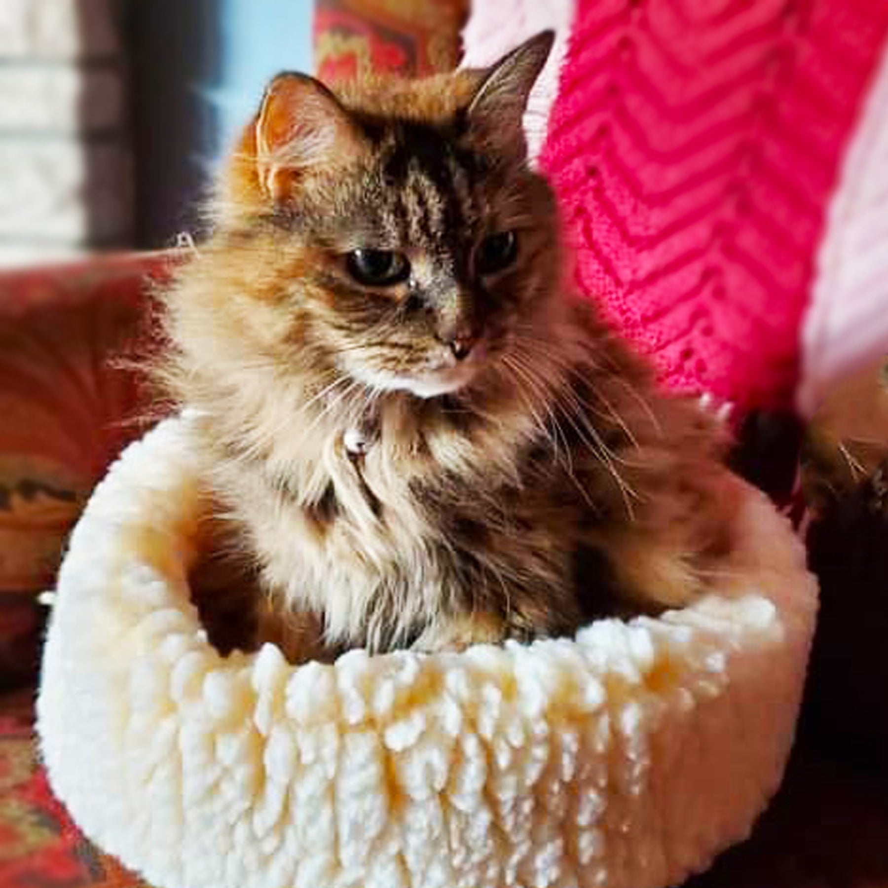 HuggleFleece® HuggleSnuggler™ Cat & Dog Beds by HuggleHounds