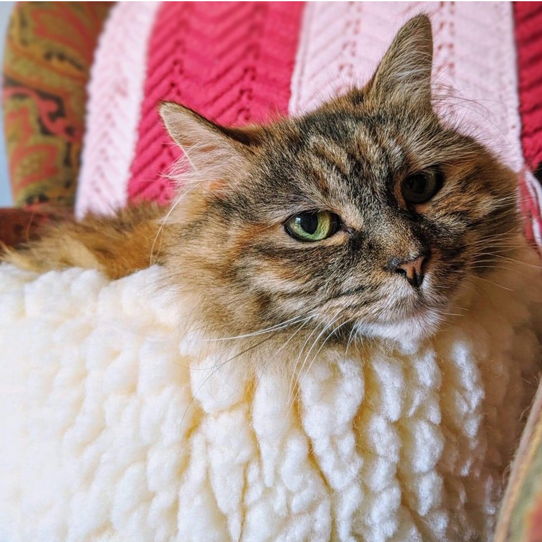 HuggleFleece® HuggleSnuggler™ Cat & Dog Beds by HuggleHounds