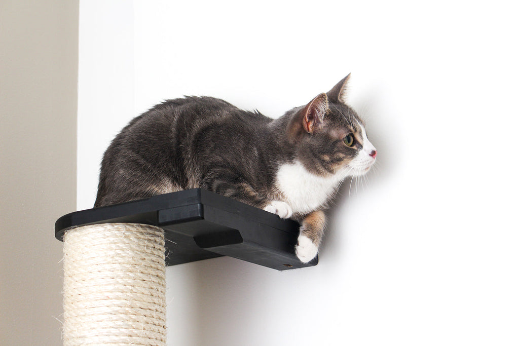 Wall Mounted Cat Climbing Pole - Sisal