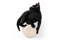 Floating Cat Step for Wall by Catastrophic Creations