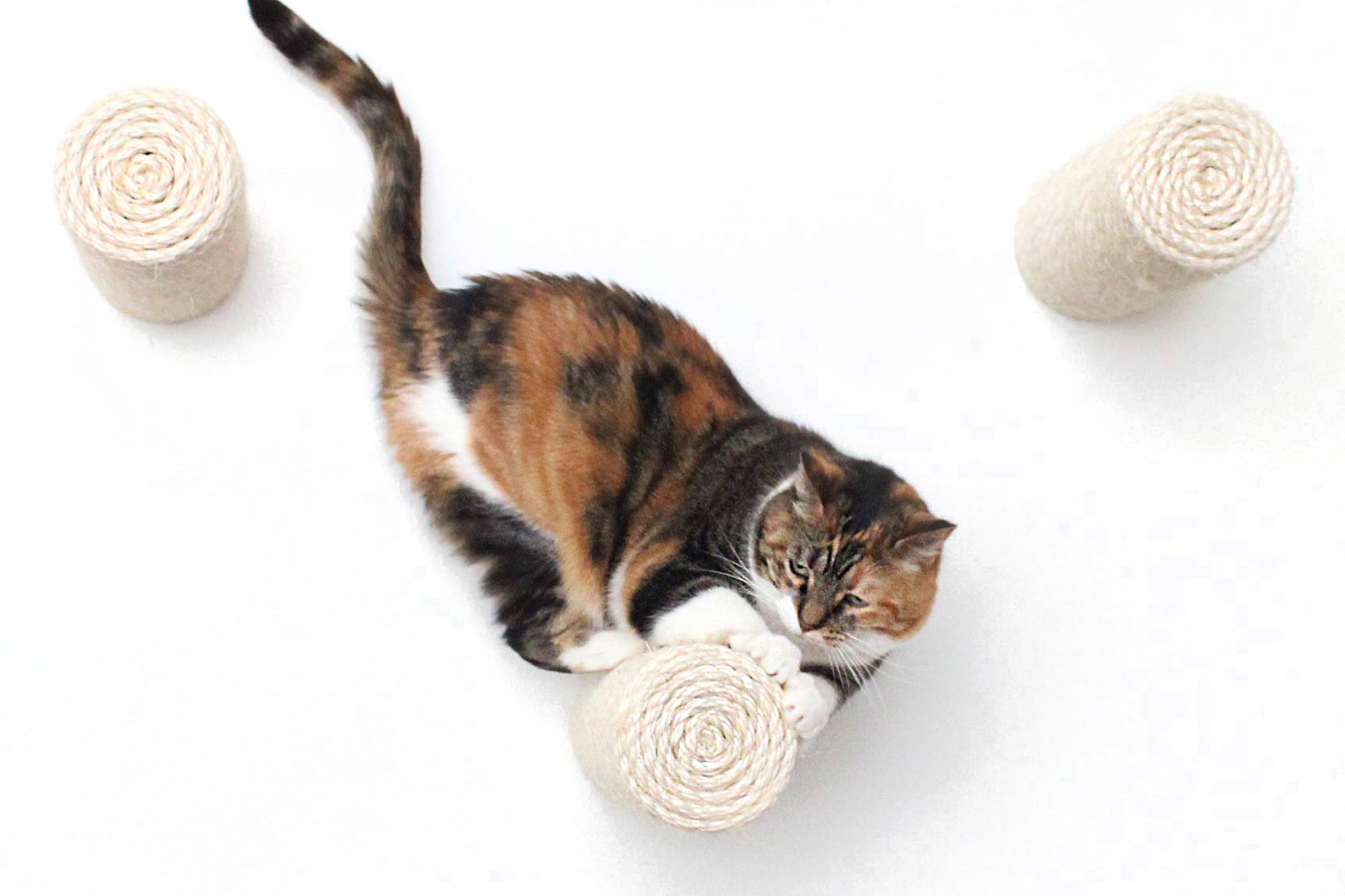 Floating Cat Step for Wall by Catastrophic Creations