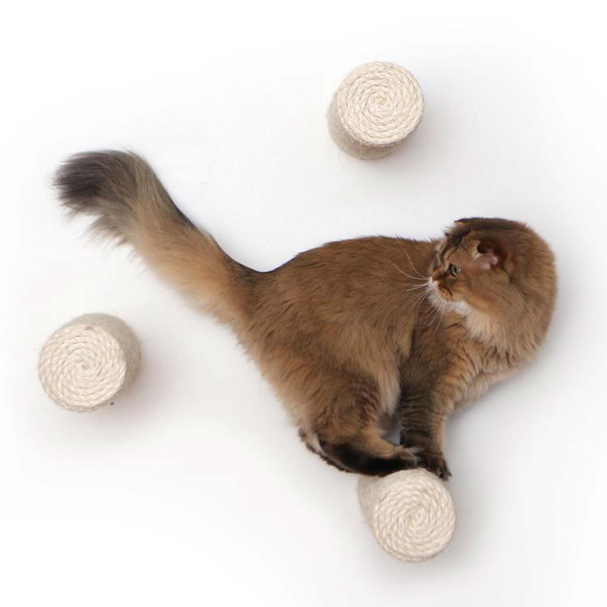 Floating Cat Step for Wall by Catastrophic Creations