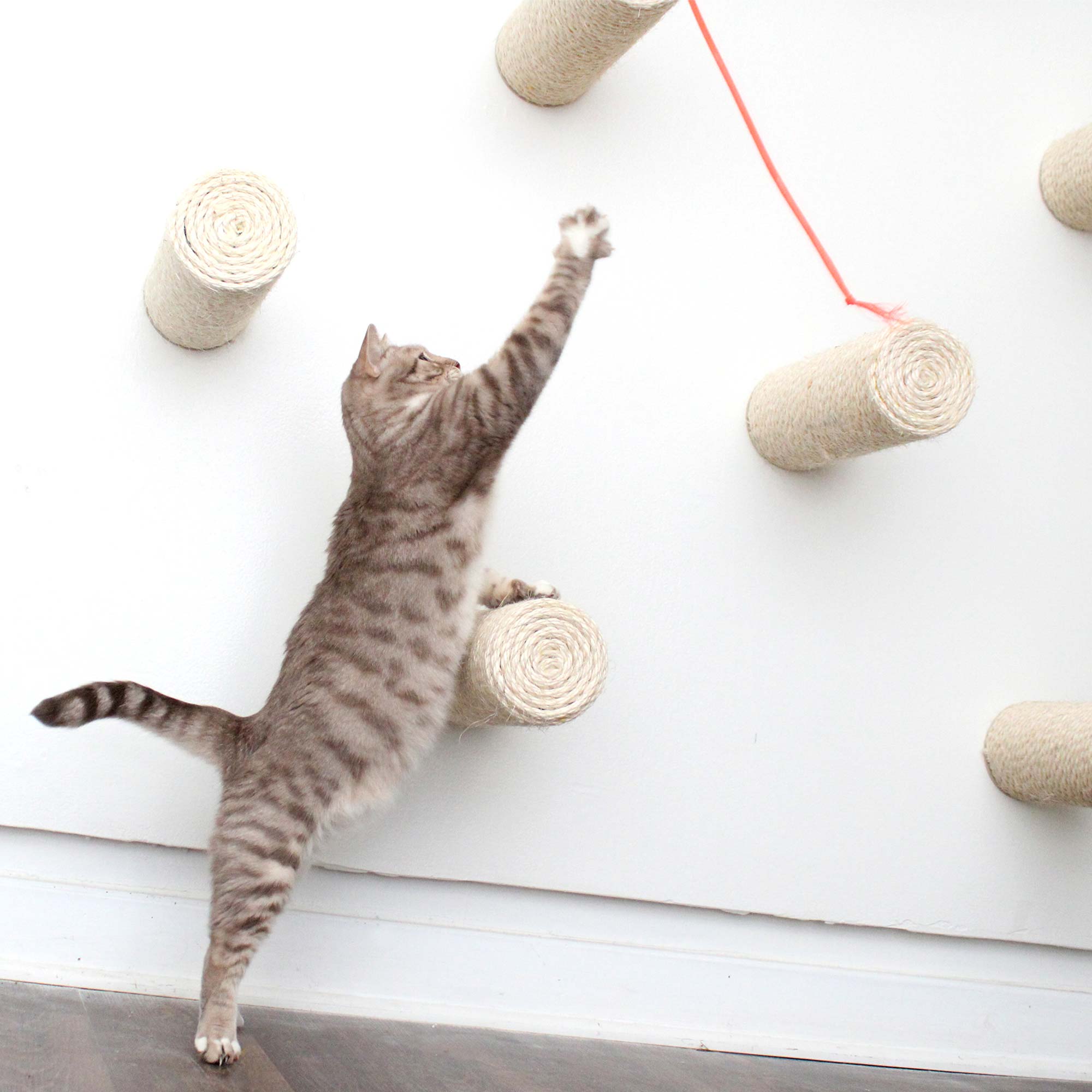 Floating Cat Step for Wall by Catastrophic Creations