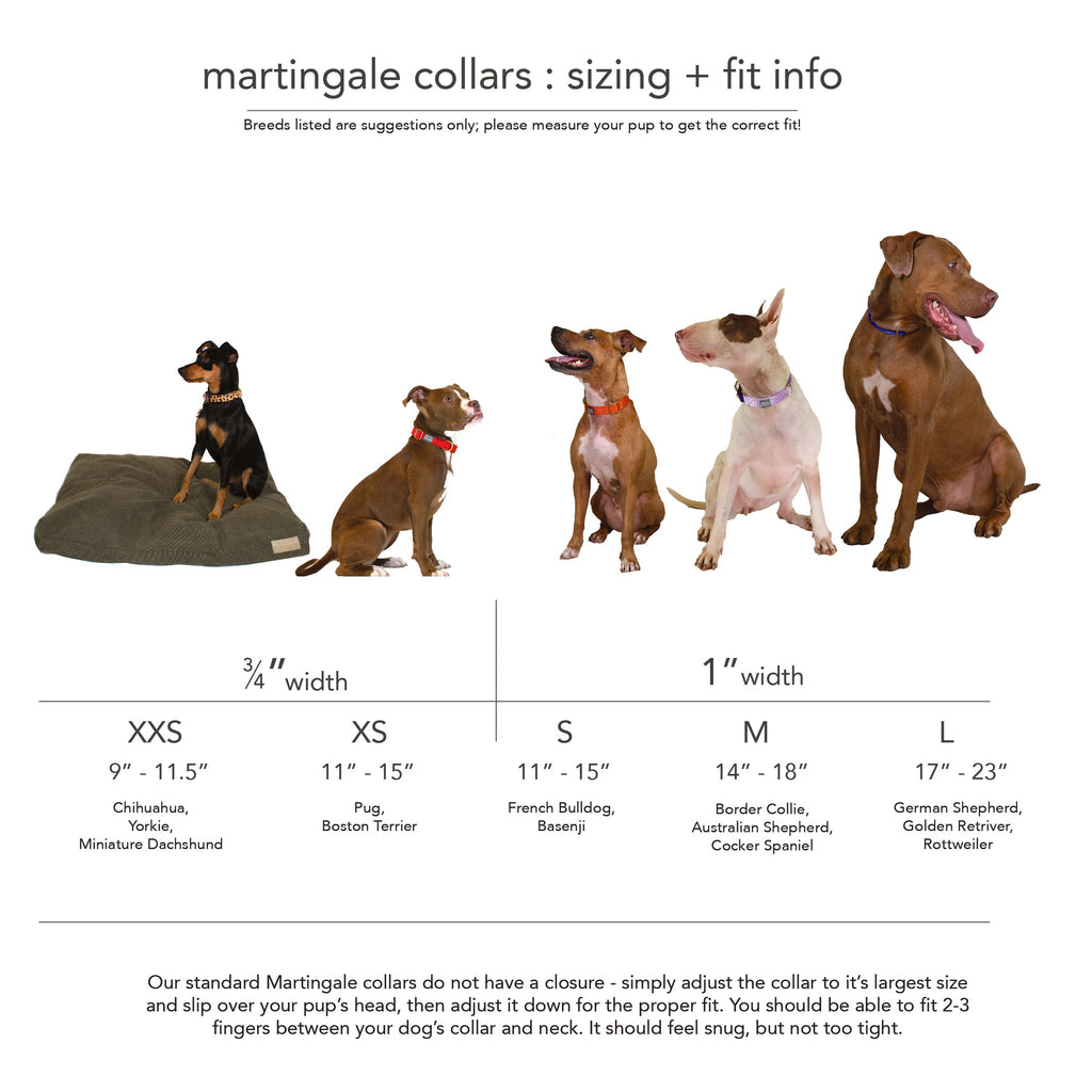 martingale collar / forest + olive by Major Darling