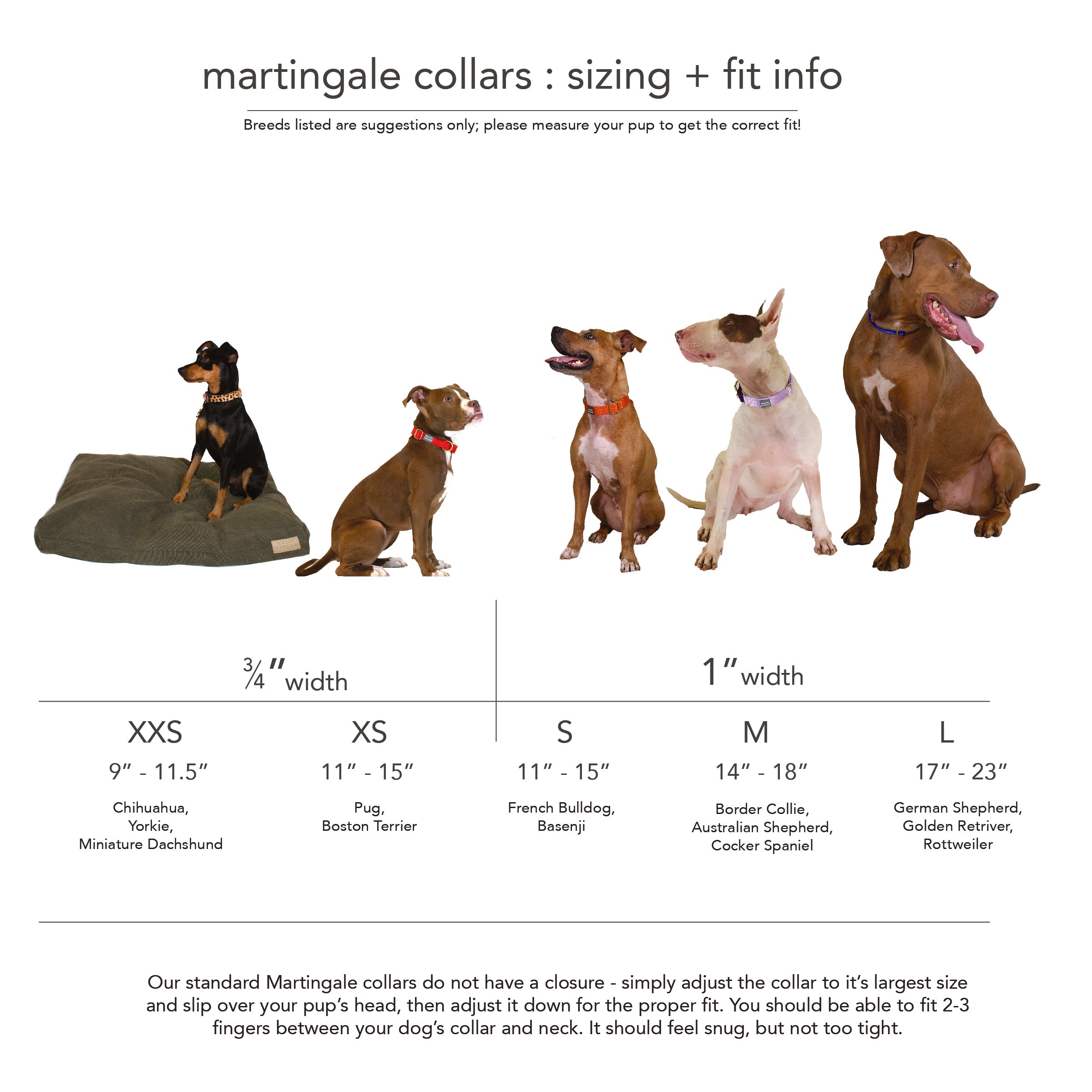 martingale collar / forest + olive by Major Darling