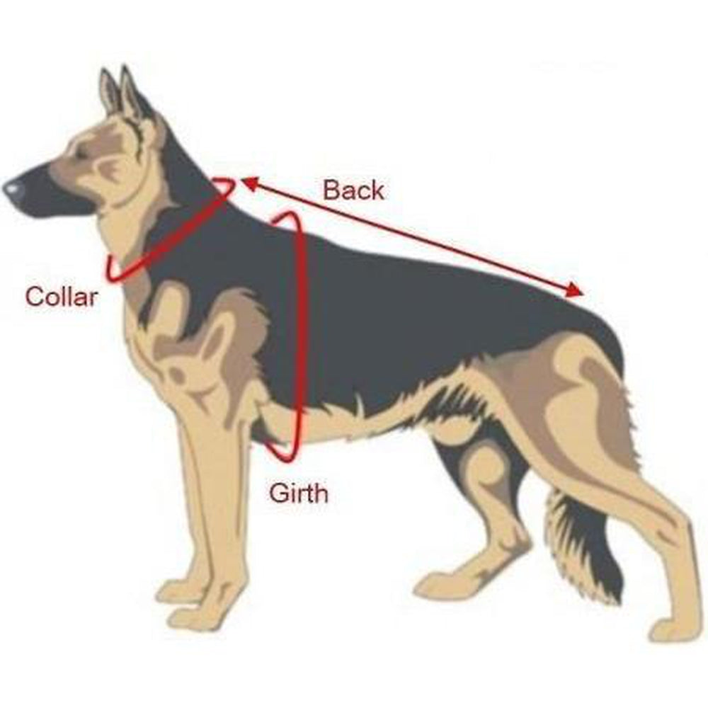 Viper Invader Working Dog Harness by Dogline