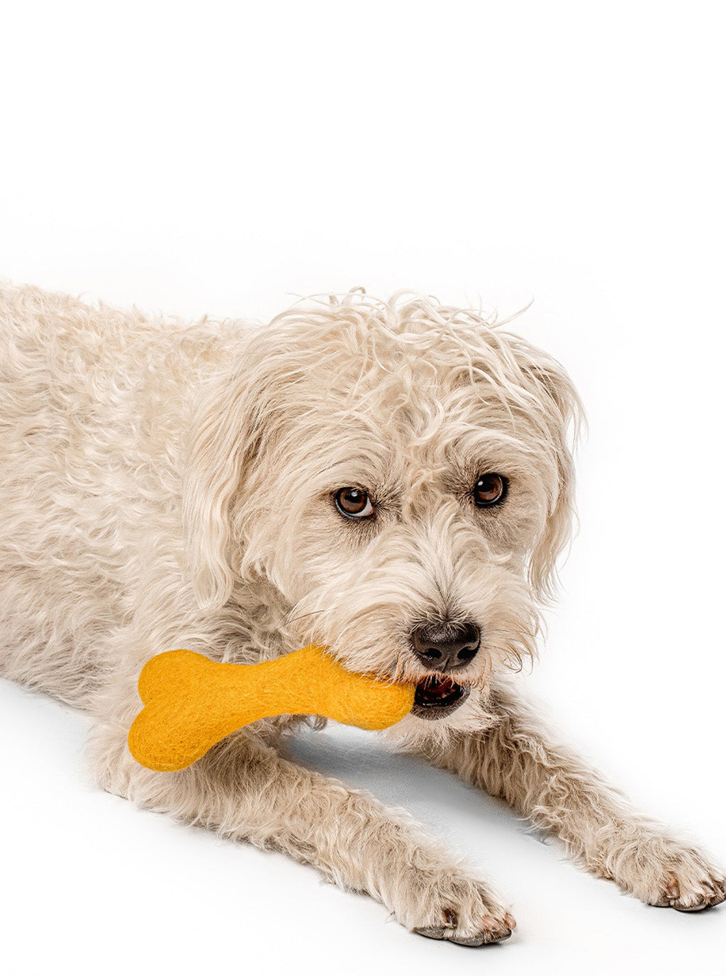CLASSIC WOOLBONE DOG TOY by MODERNBEAST