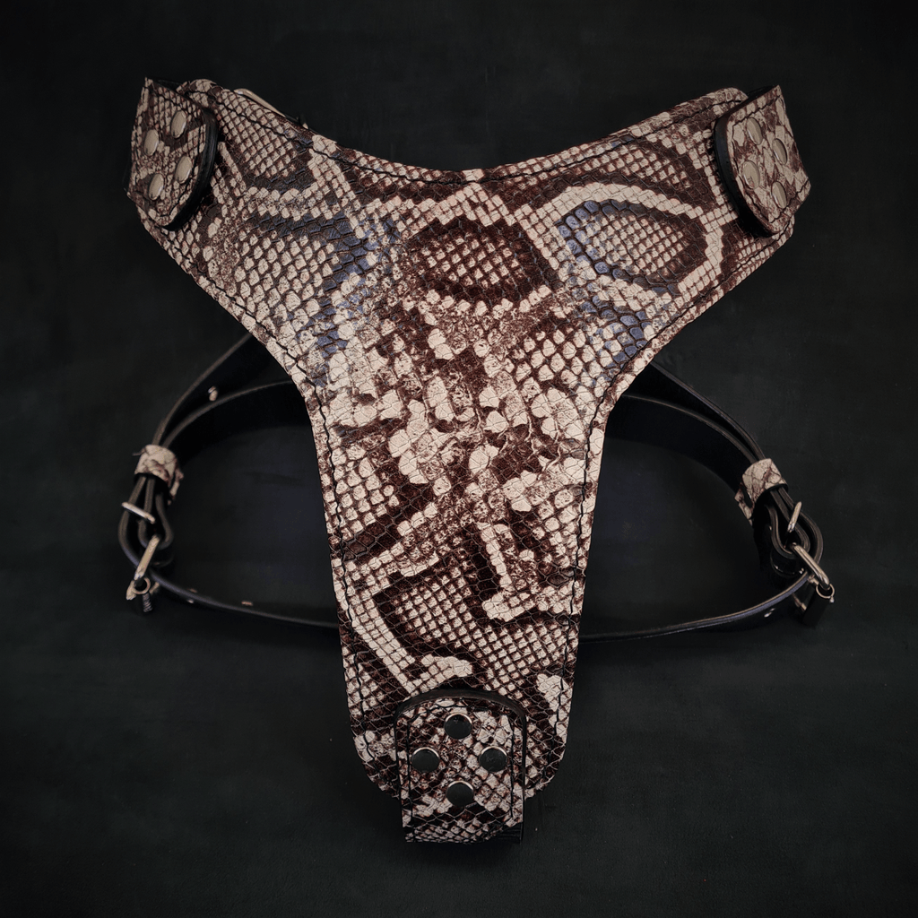 The ''Rock Python'' harness by Bestia Dog Gear
