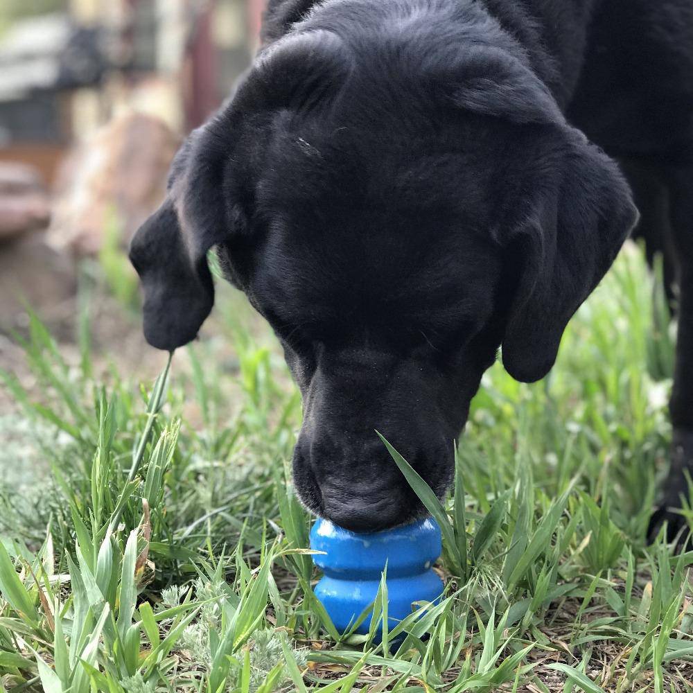 Double Trouble Dog Toy - Dual Chamber Treat Dispenser for Large Dogs | USA Made by SodaPup/True Dogs, LLC