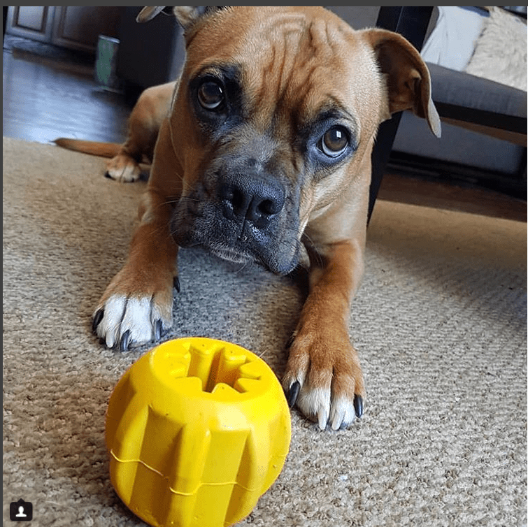 Gear eDispenser - Durable Rubber Yak Chew Holder & Treat Pocket | USA Made by SodaPup/True Dogs, LLC