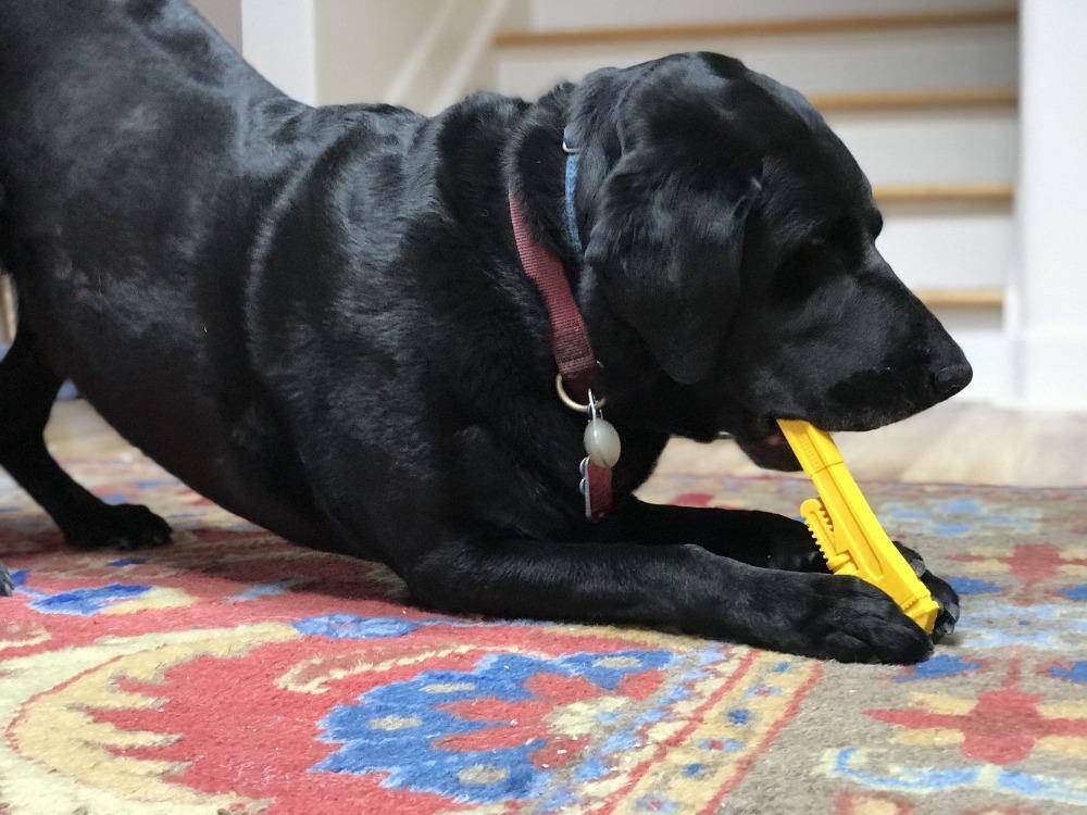 Pipe Wrench Nylon Dog Toy for Aggressive Chewers | USA Made | SodaPup by SodaPup/True Dogs, LLC