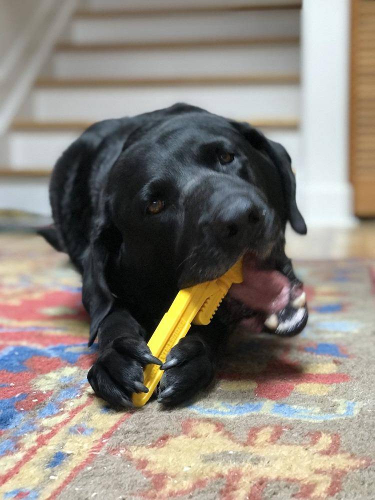 Pipe Wrench Nylon Dog Toy for Aggressive Chewers | USA Made | SodaPup by SodaPup/True Dogs, LLC
