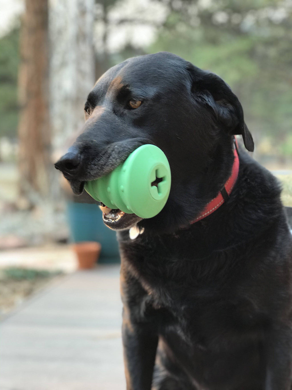 Christmas Tree Dog Toy - Durable Rubber Chew Toy for Large Dogs | USA Made by SodaPup/True Dogs, LLC