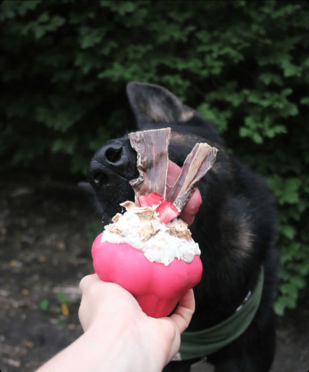 Cupcake eDispenser - Durable Rubber Chew Toy & Treat Dispenser | USA Made by SodaPup/True Dogs, LLC