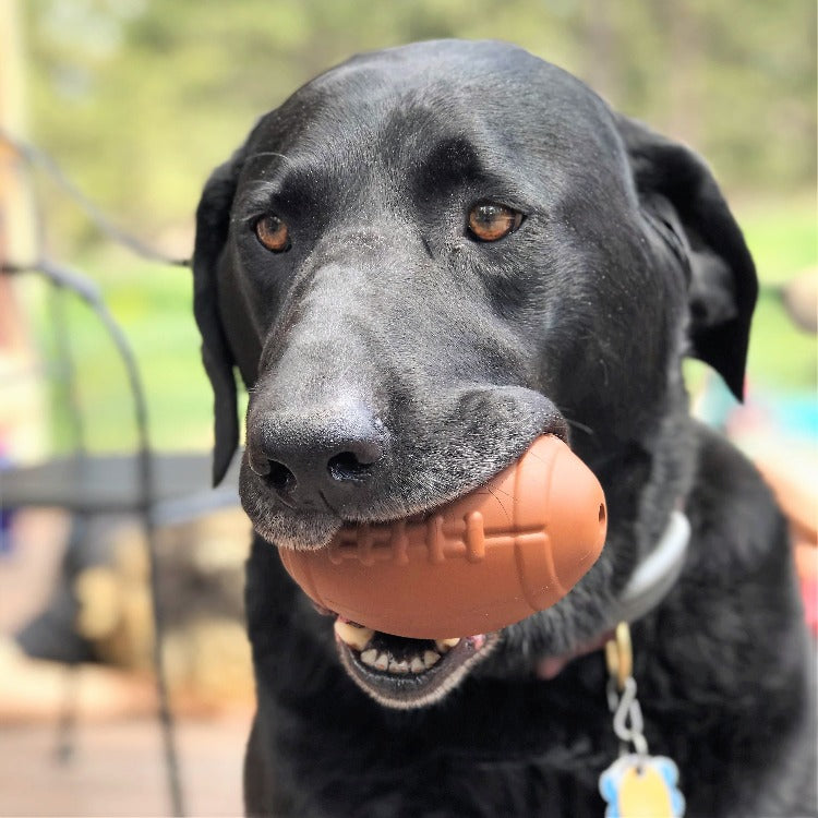 Football Dog Chew Toy & Treat Dispenser - USA Made | SodaPup by SodaPup/True Dogs, LLC