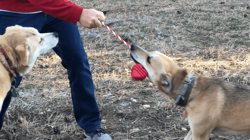 Heart on a String Dog Toy - Durable Rubber Tug Toy for Large Dogs | USA Made by SodaPup/True Dogs, LLC