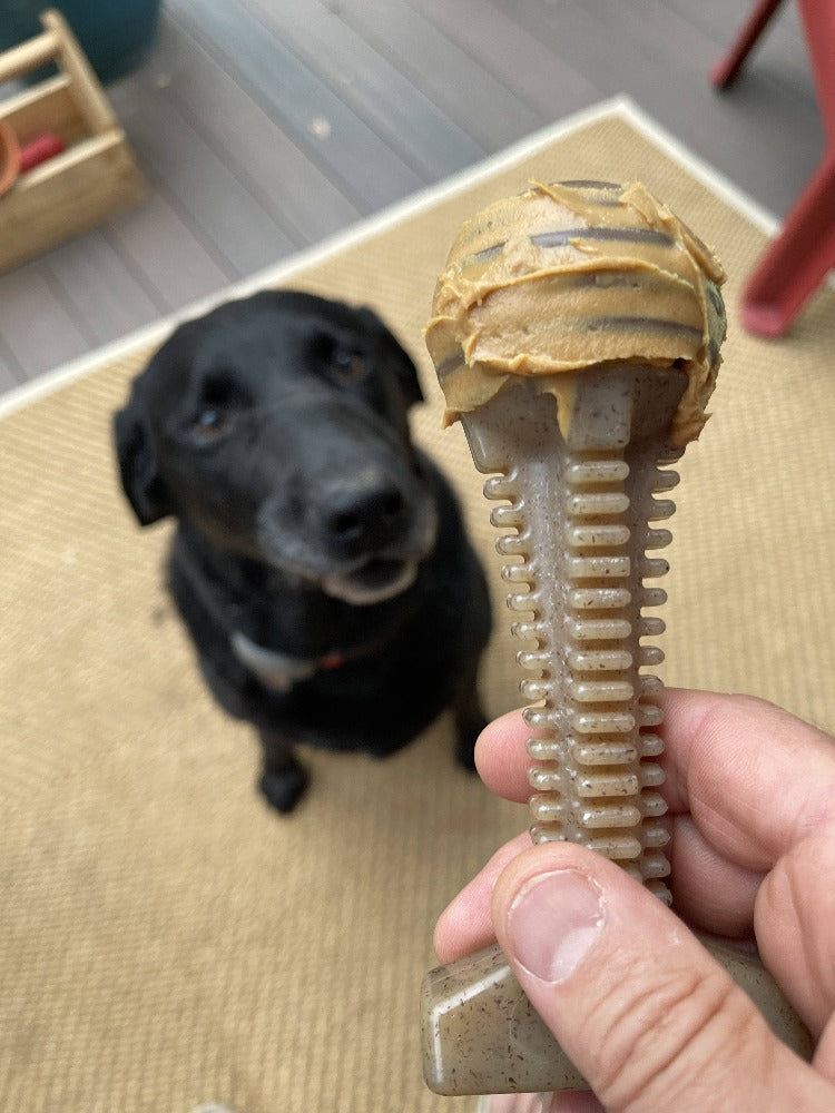 Honey Bone Dental Tower Nylon Chew Toy for Aggressive Chewers | USA Made by SodaPup/True Dogs, LLC