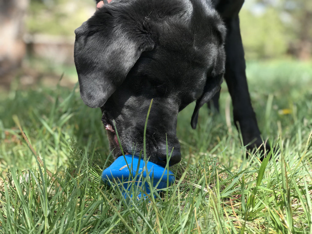Flying Saucer Dog Toy - Durable UFO Chew Toy & Treat Dispenser | USA Made by SodaPup/True Dogs, LLC