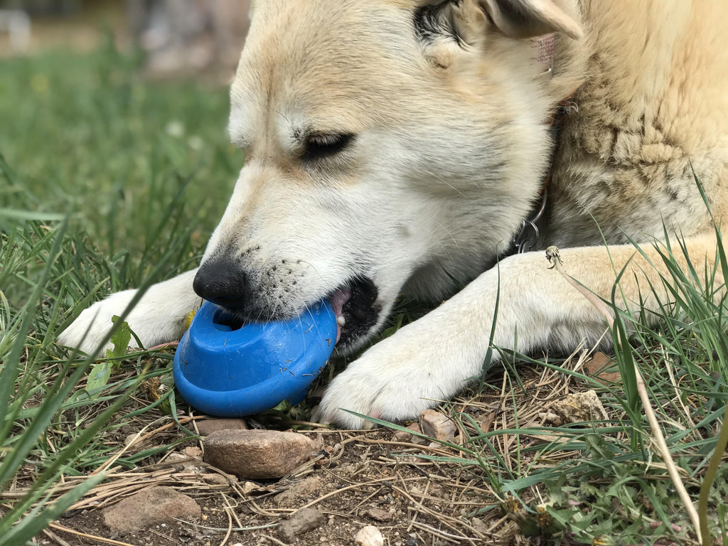 Flying Saucer Dog Toy - Durable UFO Chew Toy & Treat Dispenser | USA Made by SodaPup/True Dogs, LLC