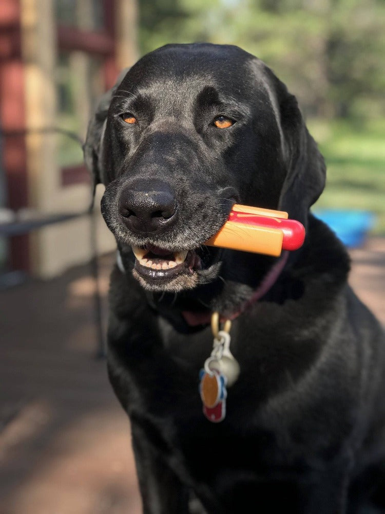 Hot Dog Nylon Dog Toy for Aggressive Chewers | USA Made | SodaPup by SodaPup/True Dogs, LLC