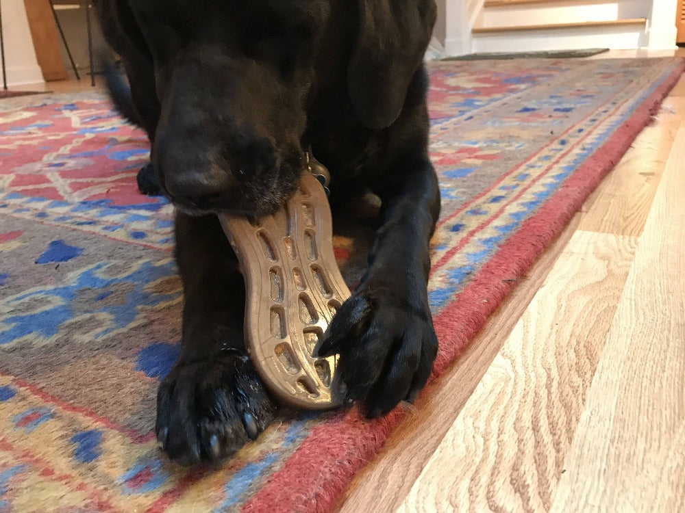 Peanut Nylon Dog Chew Toy | Ultra-Durable for Aggressive Chewers | SodaPup by SodaPup/True Dogs, LLC