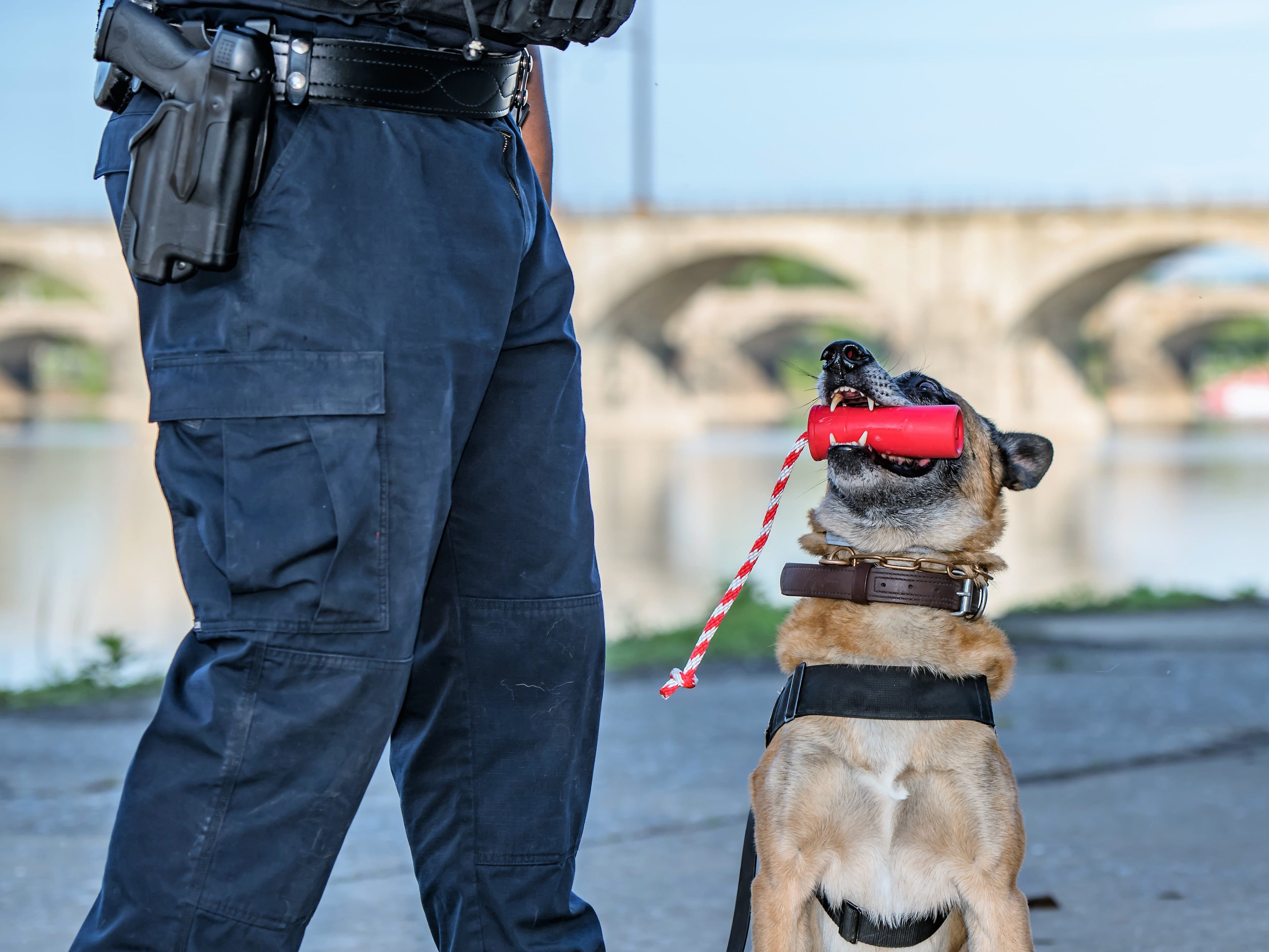 USA-K9 Firecracker Floating Training Dummy | K9 Handler Reward Toy | Red | USA Made by SodaPup/True Dogs, LLC