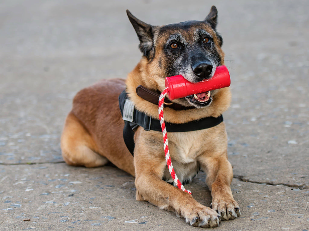 USA-K9 Firecracker Floating Training Dummy | K9 Handler Reward Toy | Red | USA Made by SodaPup/True Dogs, LLC