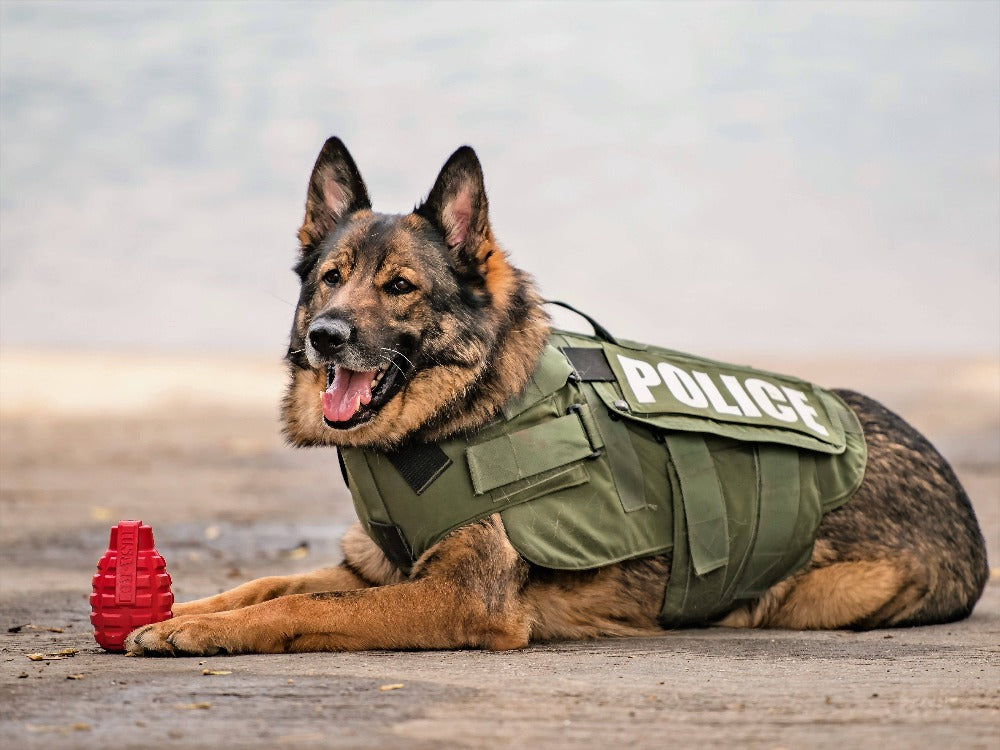 USA-K9 Grenade Shaped eDispenser Durable Dog Chew Toy & Treat Dispenser - Army Green by SodaPup/True Dogs, LLC