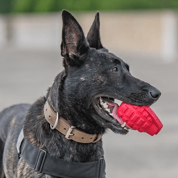 USA-K9 Grenade Shaped eDispenser Durable Dog Chew Toy & Treat Dispenser - Army Green by SodaPup/True Dogs, LLC