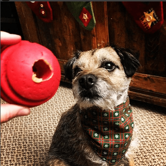 USA-K9 Stars and Stripes Rubber Dog Toy | K9 Handler Reward Toy | Red | USA Made by SodaPup/True Dogs, LLC