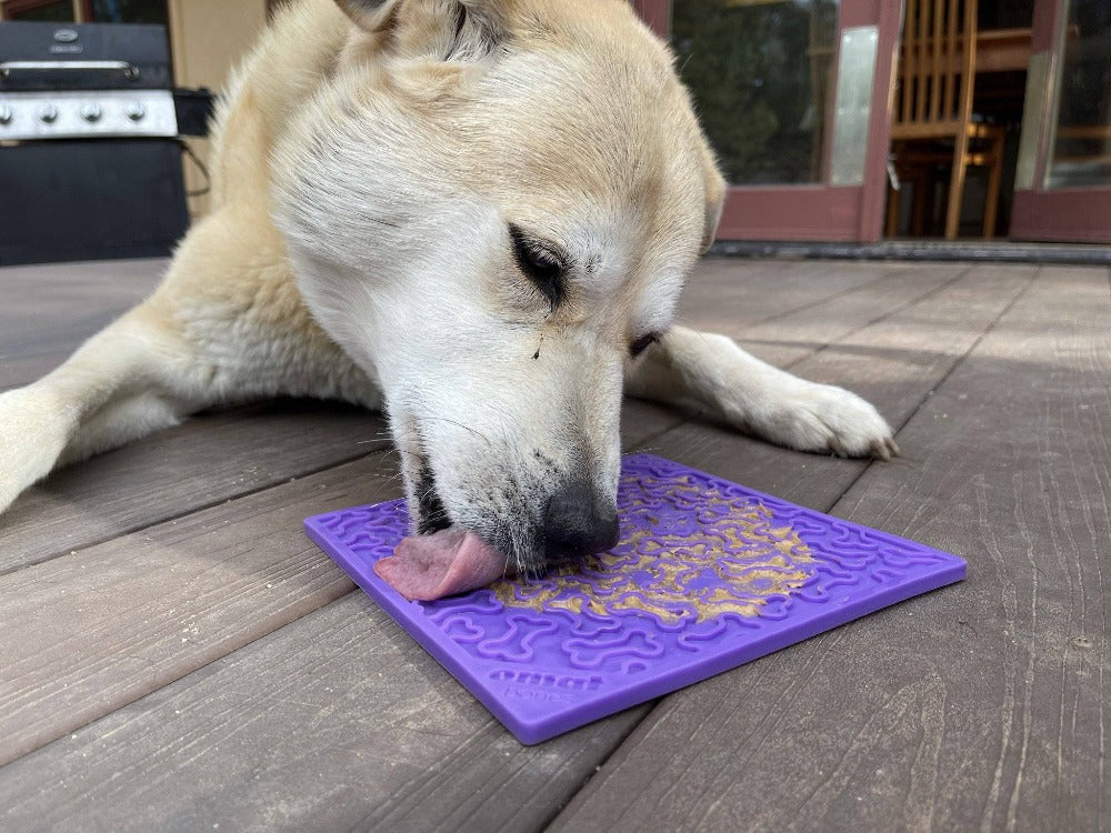 Bones eMat - Enrichment Lick Mat for Dogs and Cats | eMat Enrichment Toy for Anxiety Relief | SodaPup by SodaPup/True Dogs, LLC