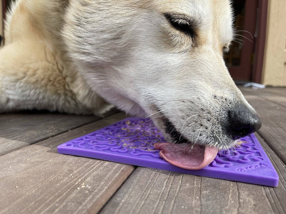 Bones eMat - Enrichment Lick Mat for Dogs and Cats | eMat Enrichment Toy for Anxiety Relief | SodaPup by SodaPup/True Dogs, LLC