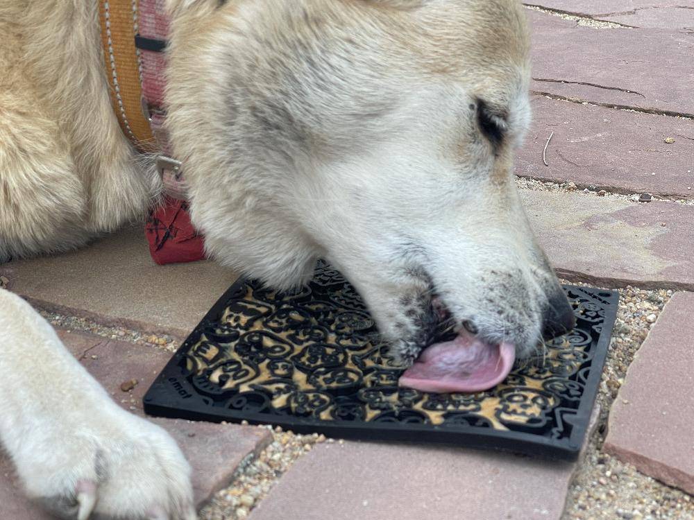 Zombie eMat - Enrichment Lick Mat for Dogs and Cats | Halloween Skull Design | SodaPup by SodaPup/True Dogs, LLC