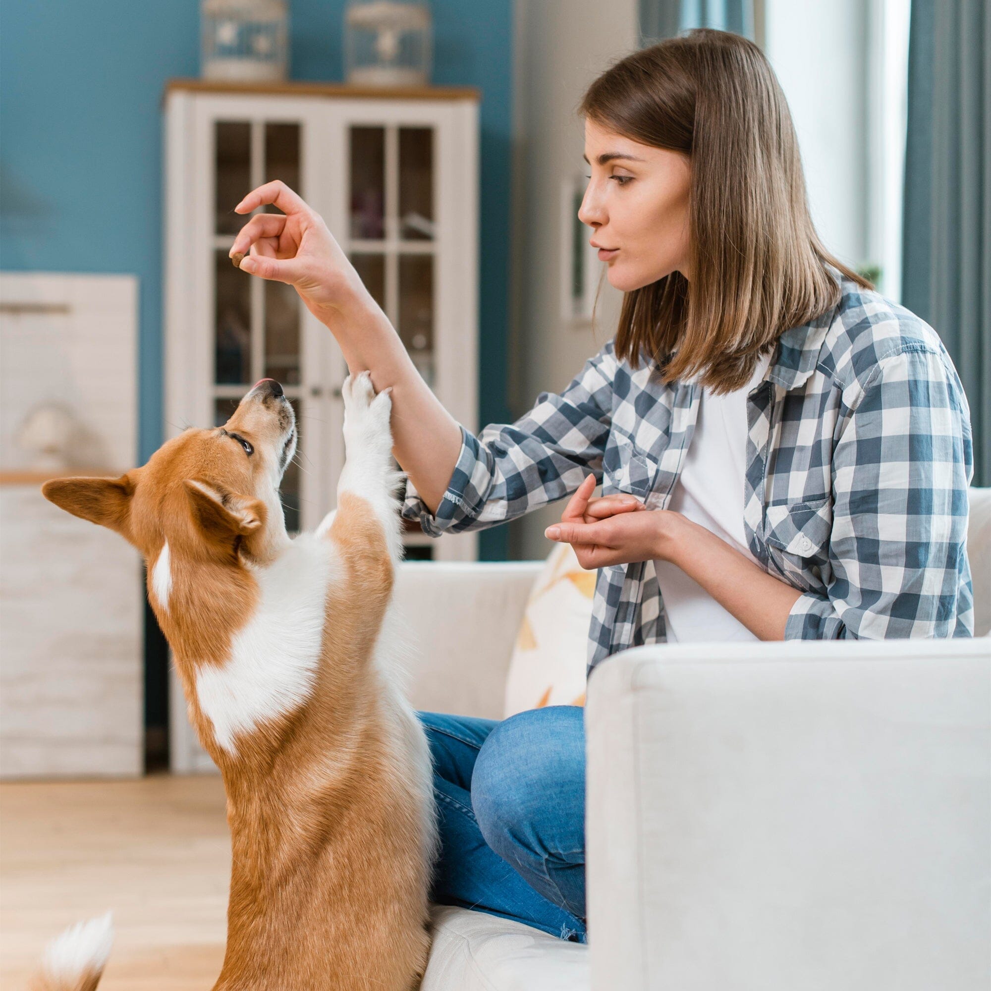 Skin and Coat Support For Dogs 9oz Jar (120 count)