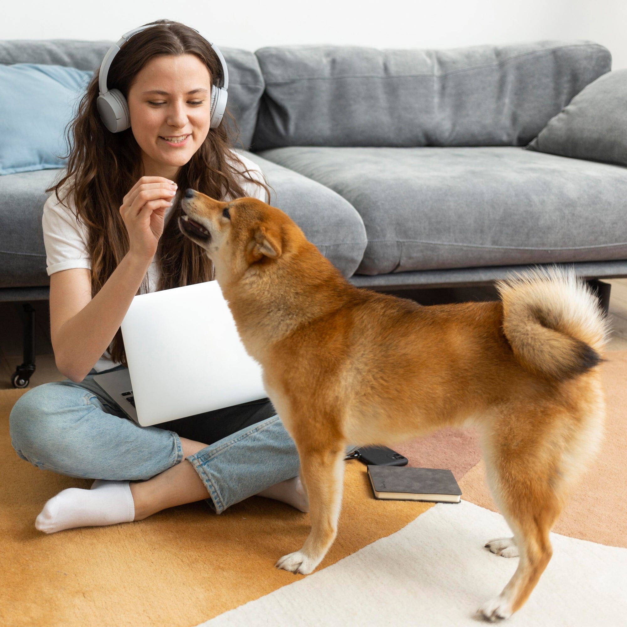 Seasonal Allergy and Skin Support For Dogs 9oz Jar (120 count)