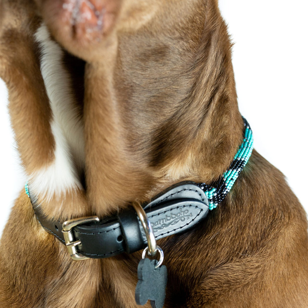 Saint Barth Sambboho dog collar (rolled) by Sambboho