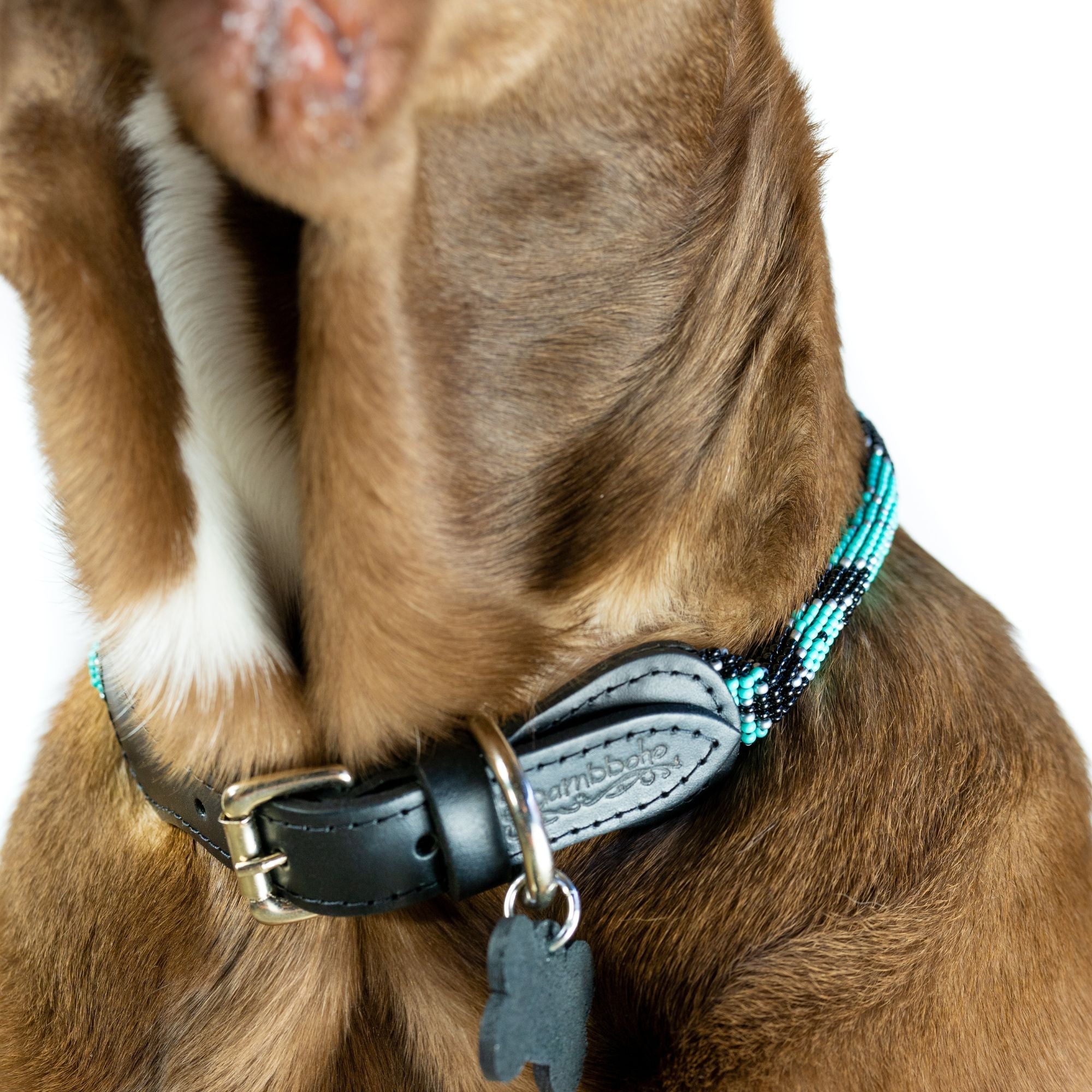 Saint Barth Sambboho dog collar (rolled) by Sambboho