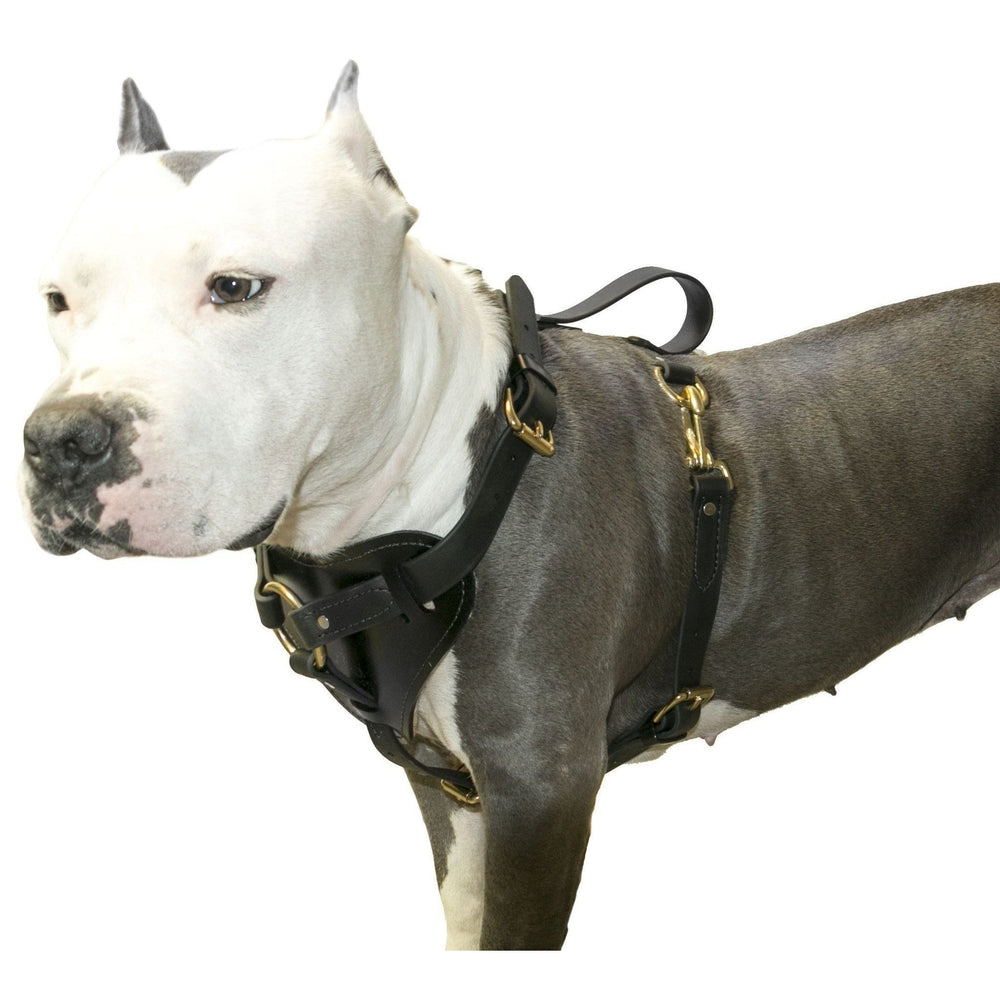 Viper Surge Biothane Working Dog Harness - Brass Hardware by Dogline