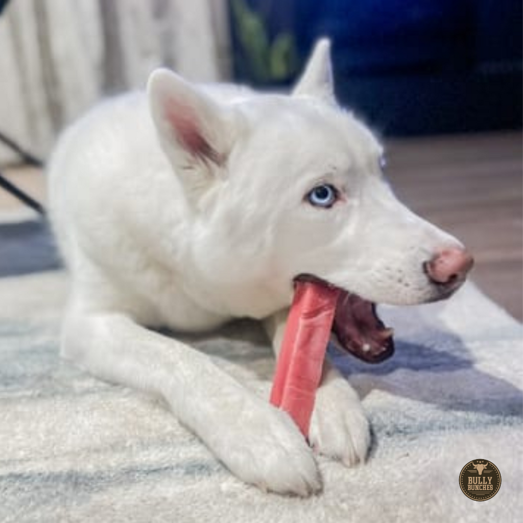 Strawberry Himalayan Yak Chew (MEDIUM) by Bully Bunches