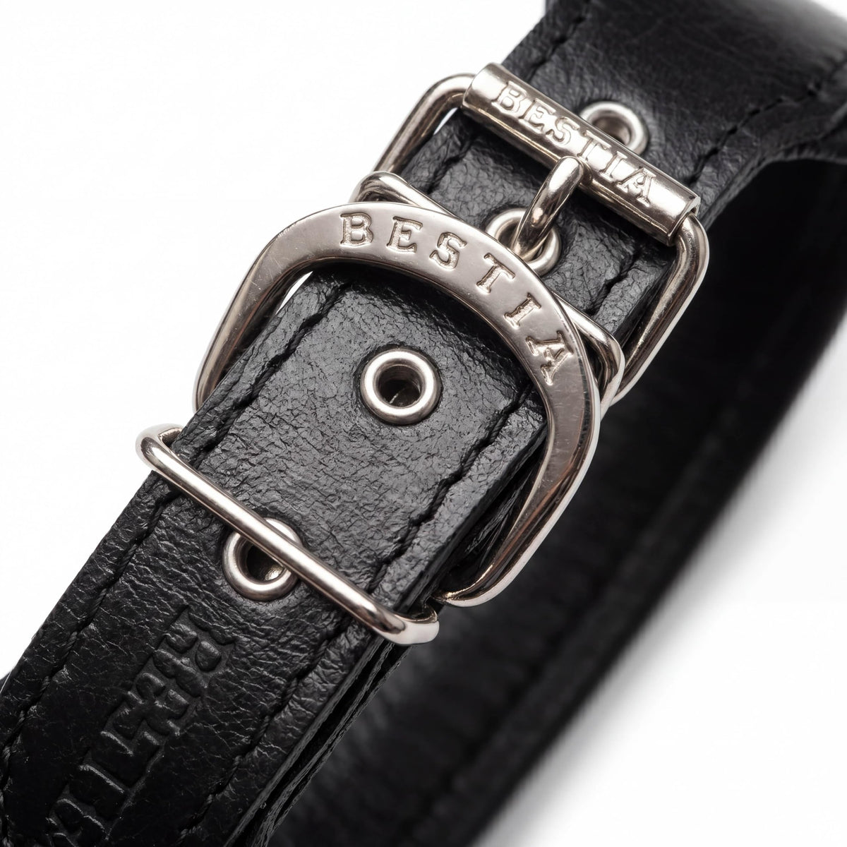 "Stylish" 2 inch wide dog collar by Bestia Dog Gear