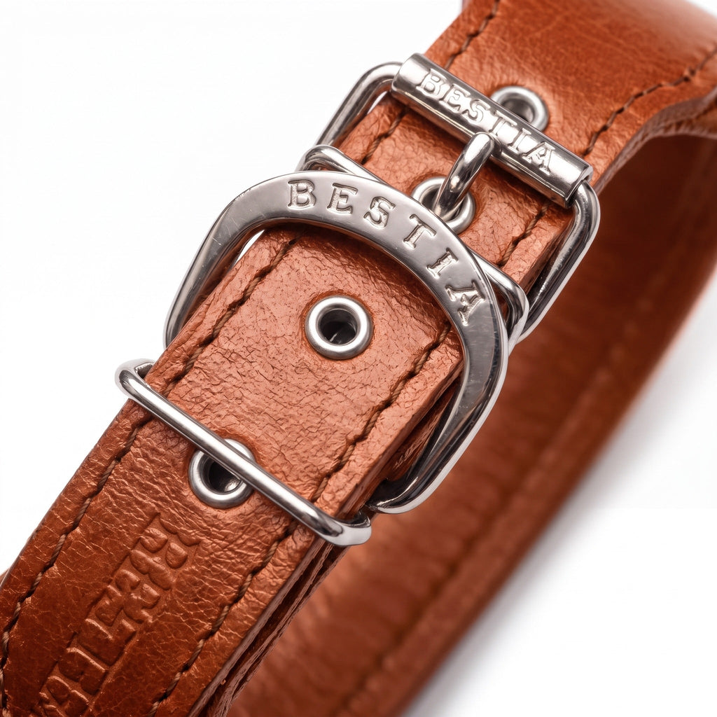 "Stylish" 2 inch wide dog collar by Bestia Dog Gear