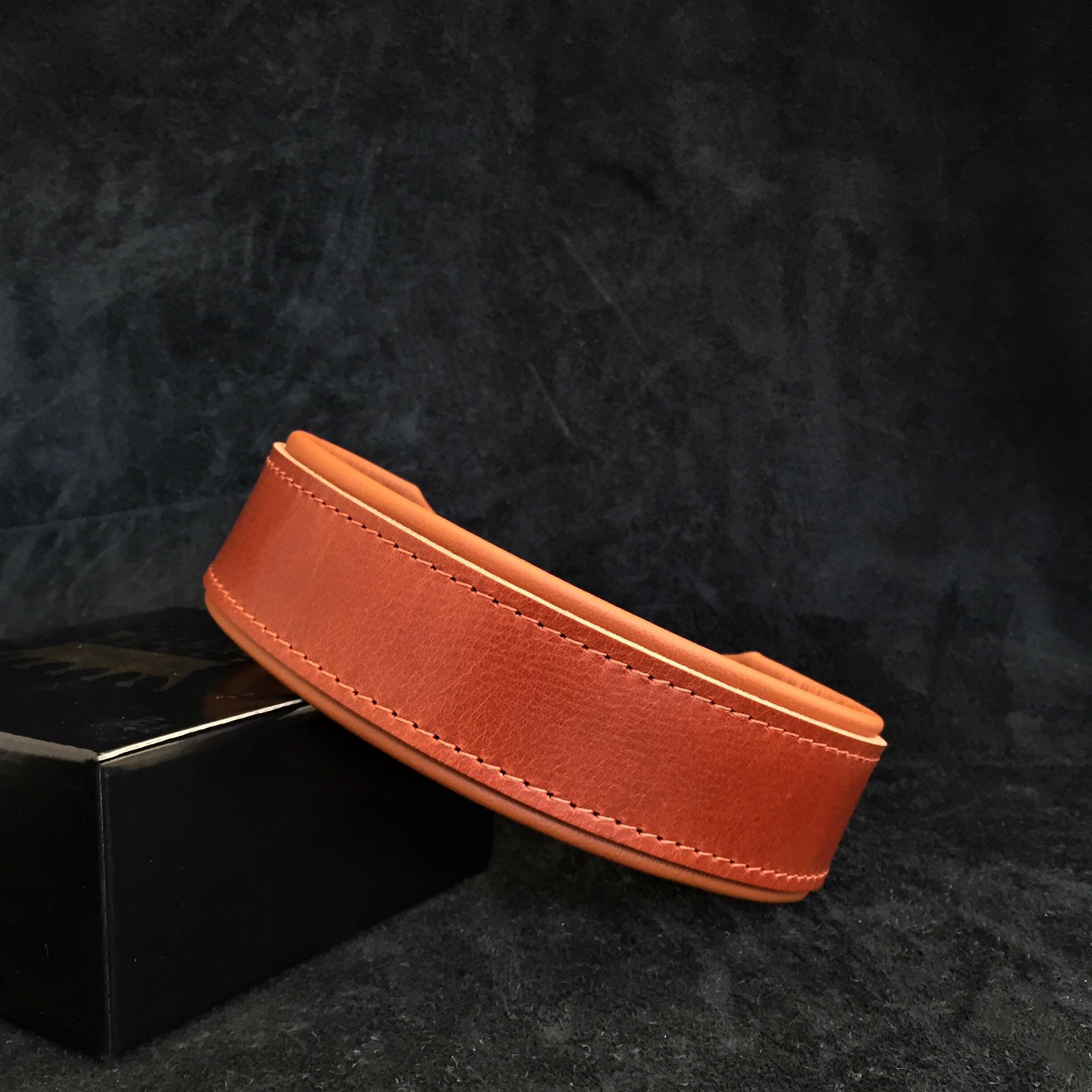 "Stylish" 2 inch wide dog collar by Bestia Dog Gear