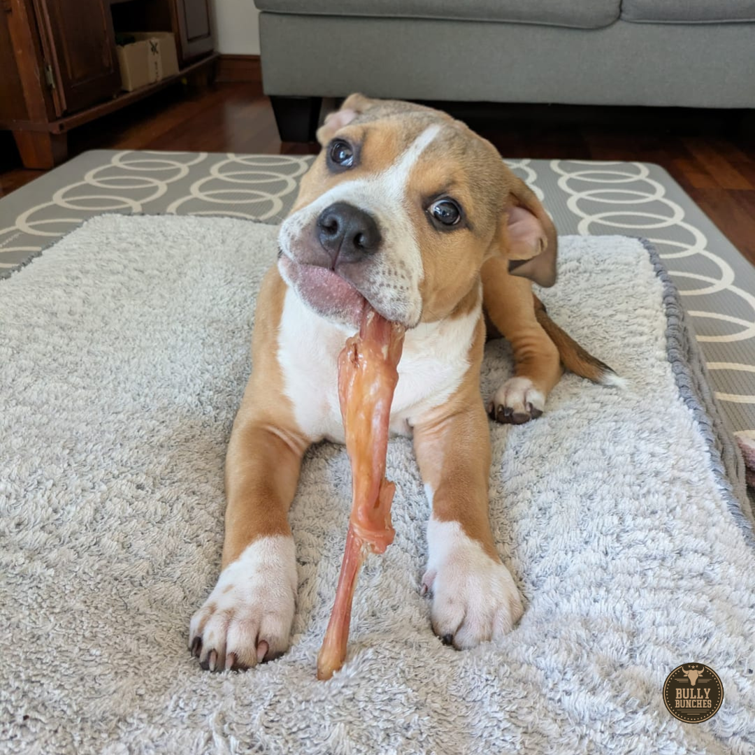 Beef Tendon by Bully Bunches